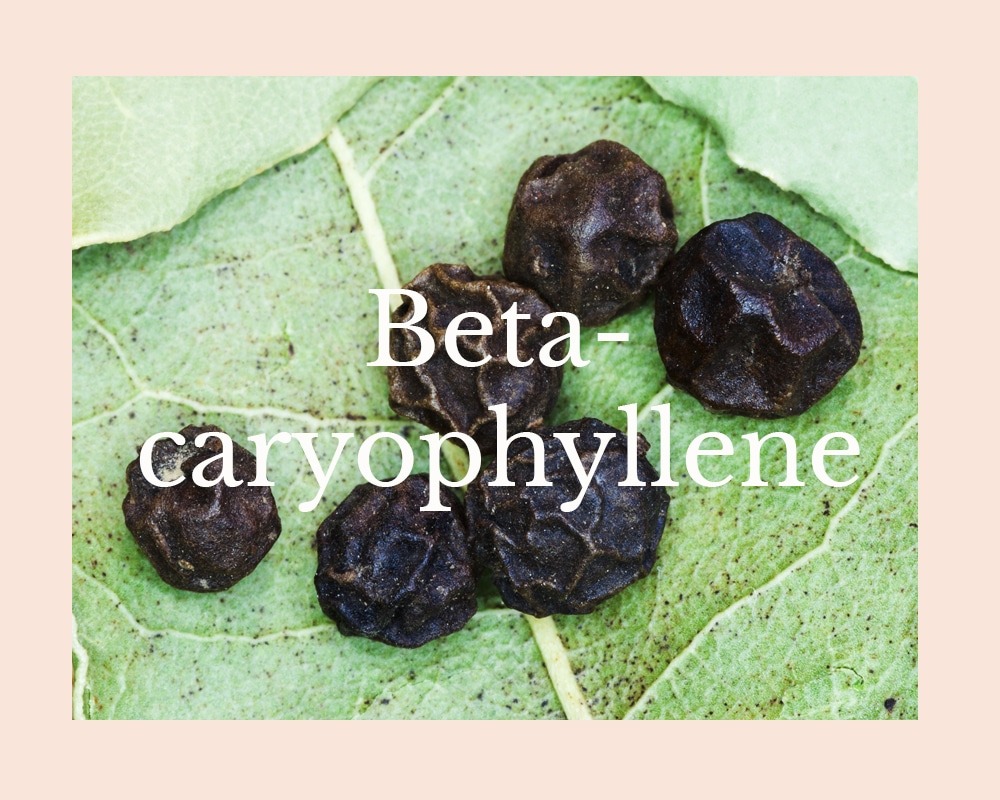 Beta-Caryophyllene