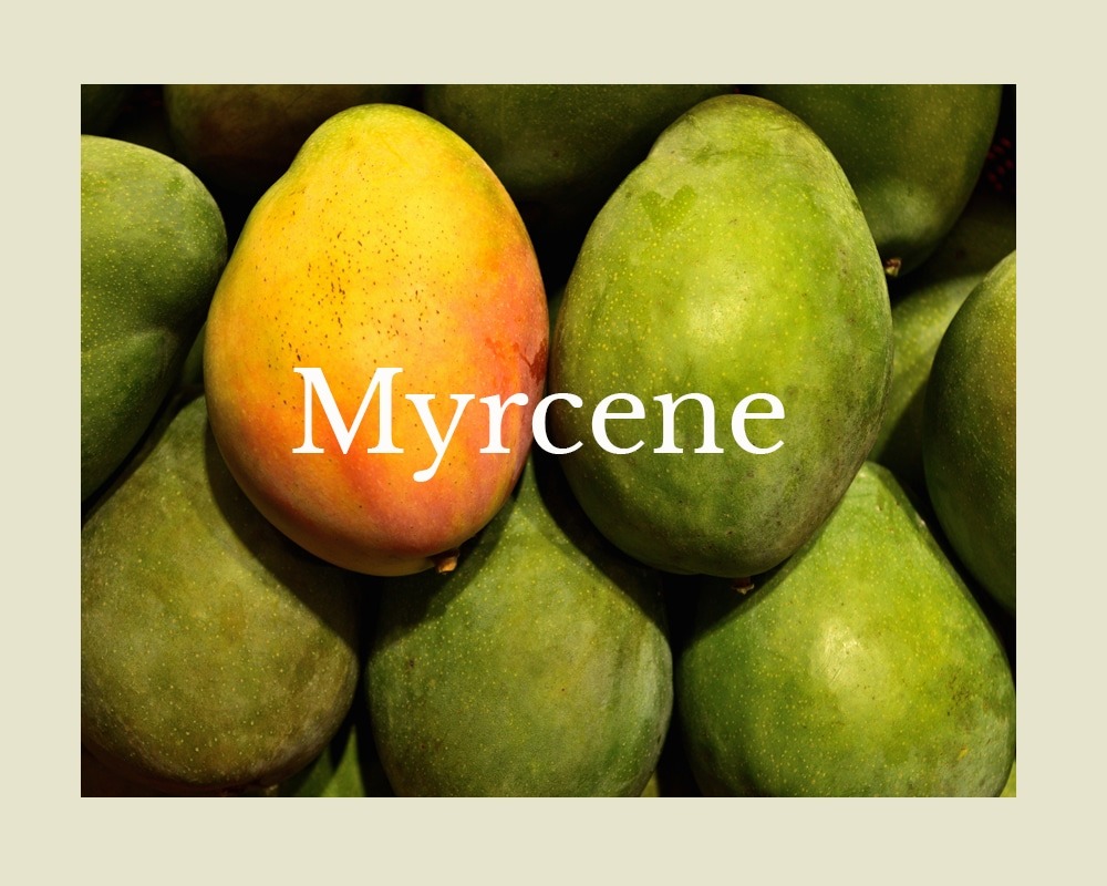 Myrcene